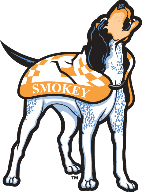 Tennessee Volunteers 2005-Pres Mascot Logo diy DTF decal sticker